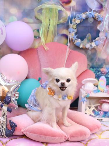 20240804りゅうくん